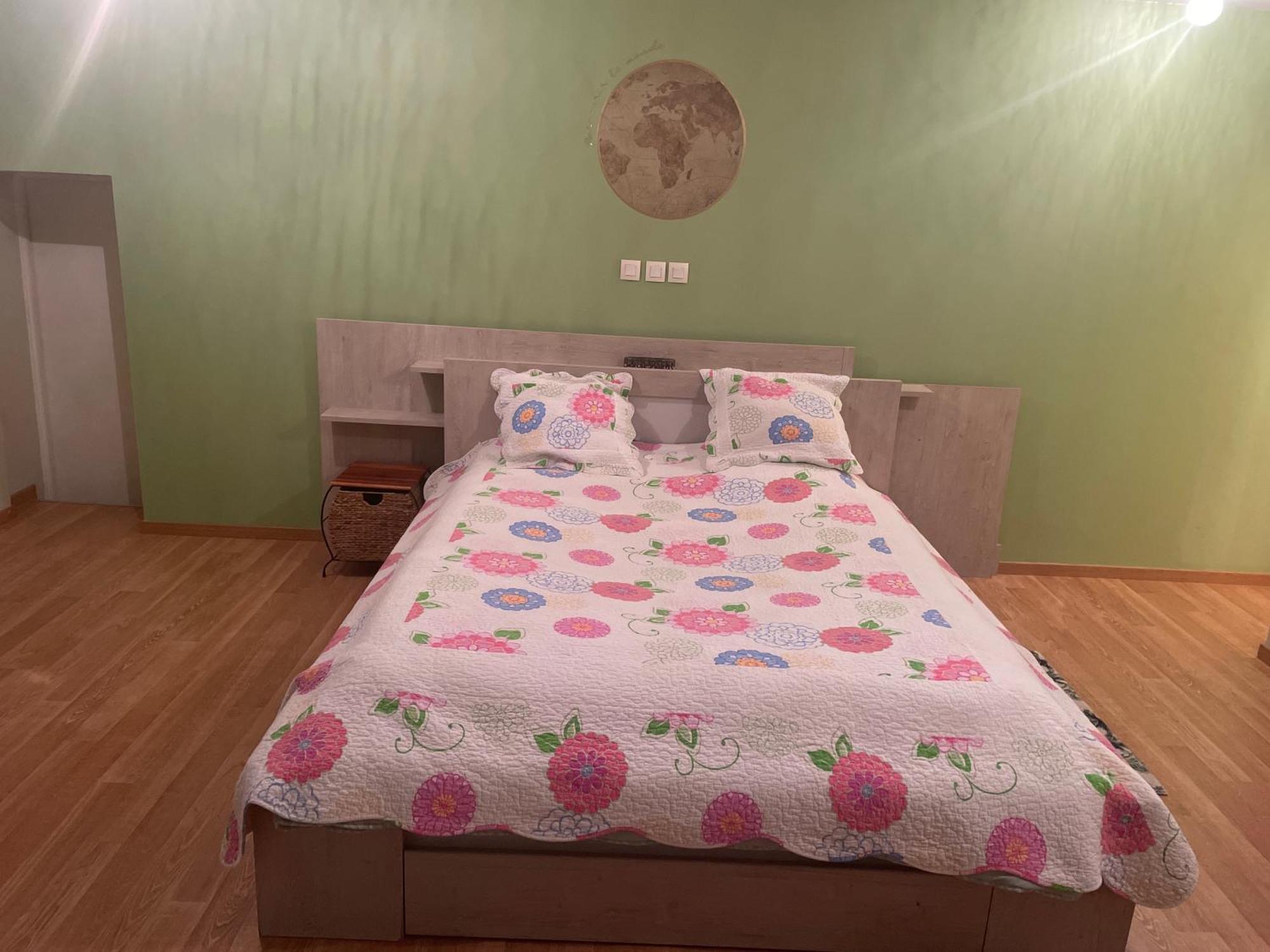 Chambre Verte Spacieuse Cote Aeroport Pusignan 外观 照片